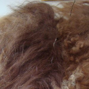 Skinnremse brun